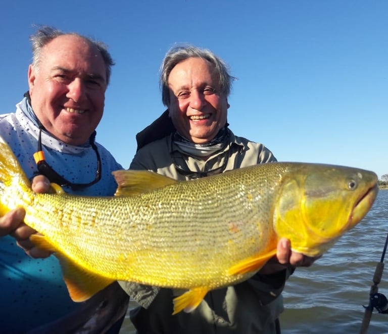 Pesca de dorado