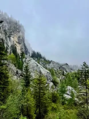 Misty alpine cliffs and green forest along Bad Goisern caving hiking tour