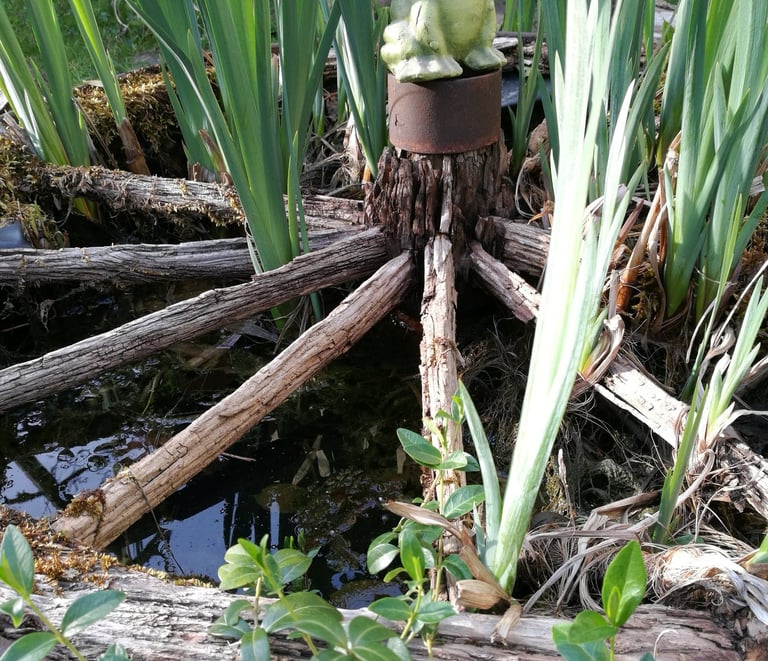 Ein kleines Detail aus dem Garten