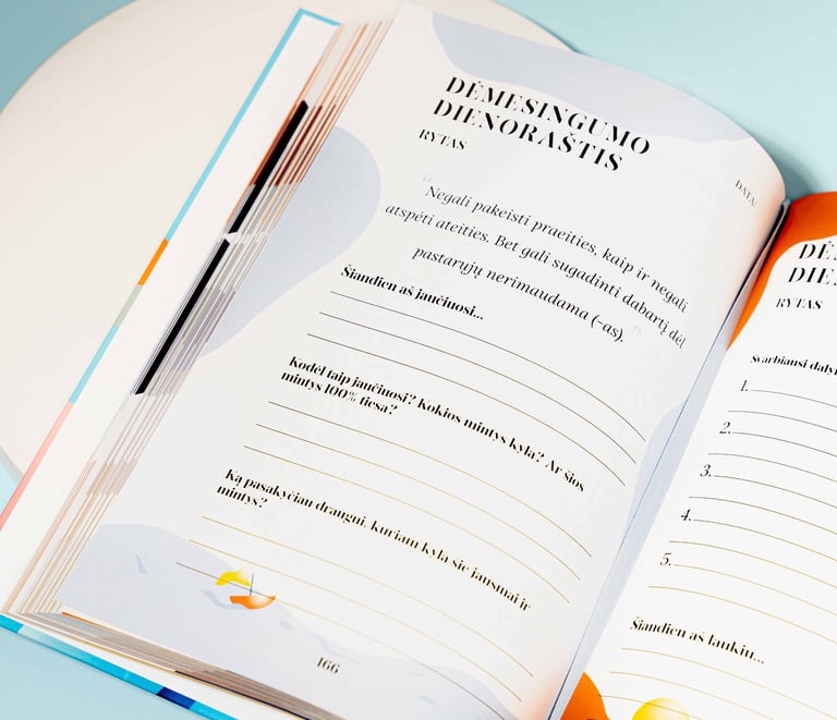 Didysis dėmesingumo dienoraštis padedantis ugdytisavireflekcijos praktikas