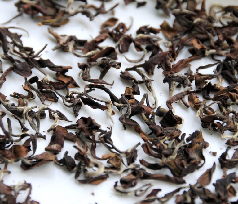 oriental beauty tea leaves