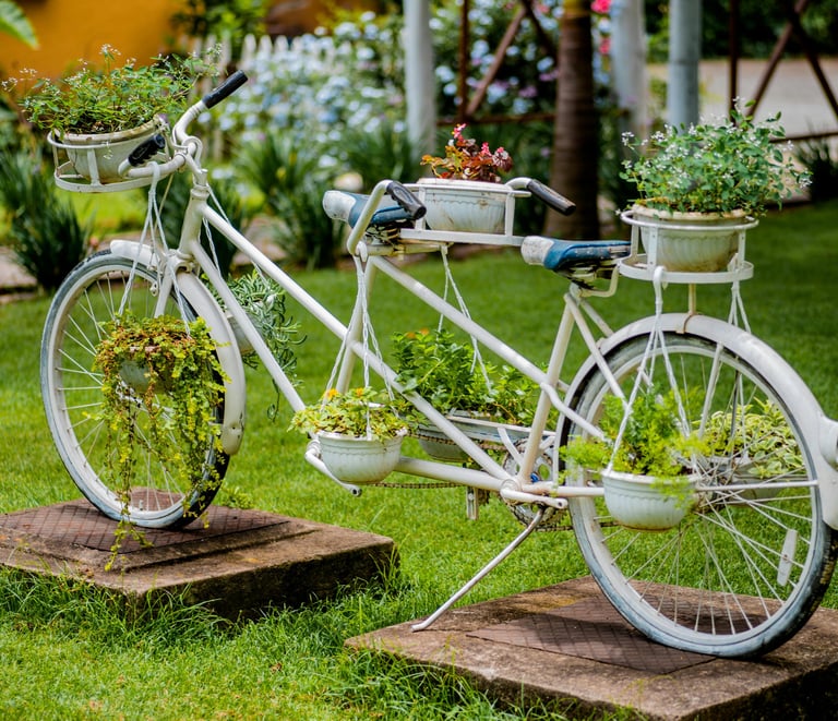 Old bicycle used as a plant stand. Budget-friendly gardening