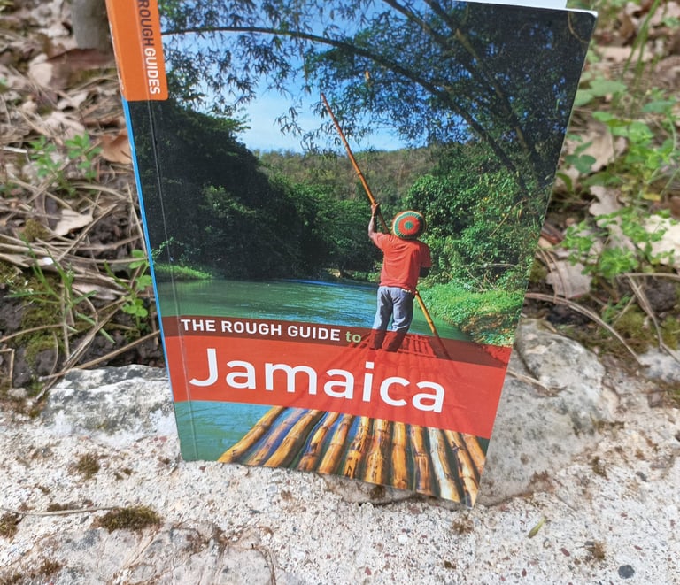 A Rough guide to travel