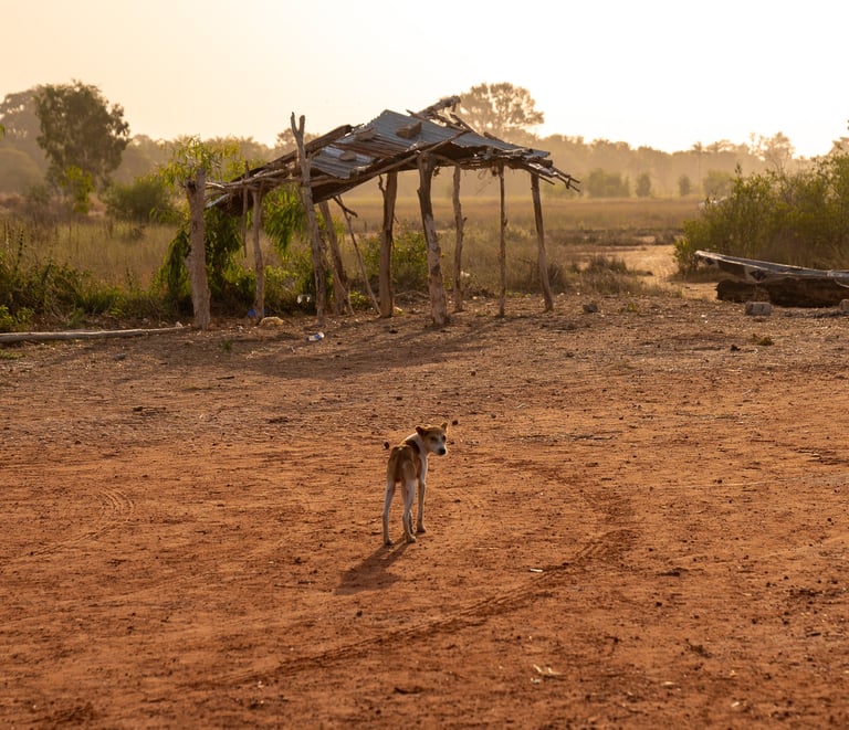 paysage sénégalais cassamance