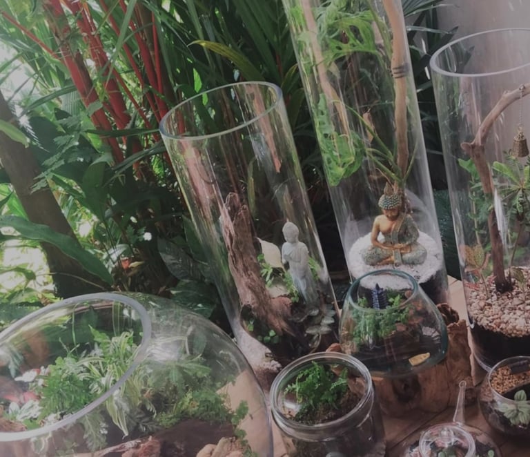 Living Art Therapy® nature-based wellness workshop, Terrarium Build, Garden, Gifts & Glass, Cairns 