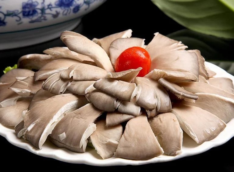  Cultivation cold room & cold chamber