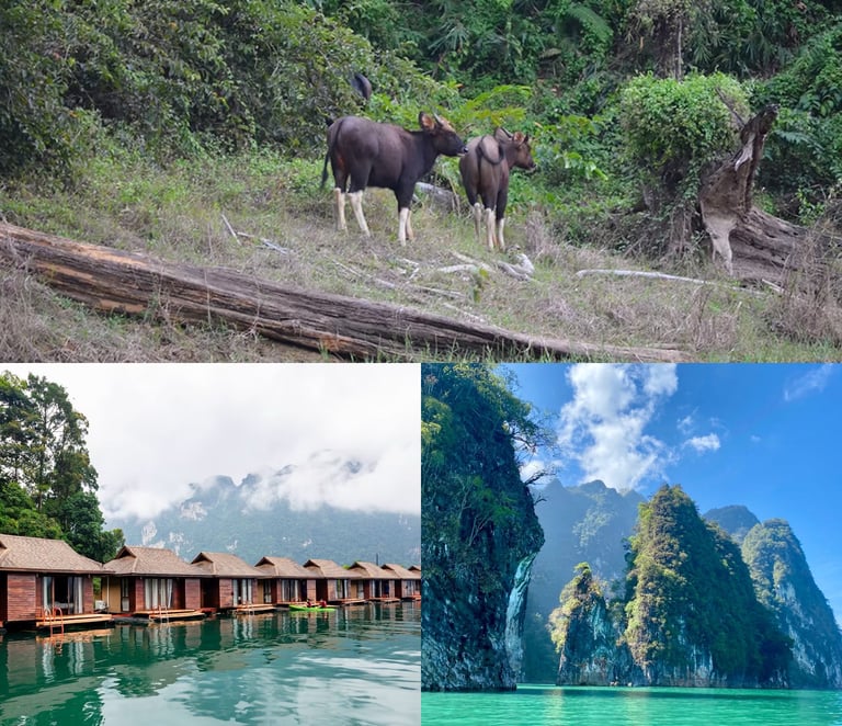 a collage of a couple of stunning limestone peaks in Thailand - surrounding a crystal clear lake