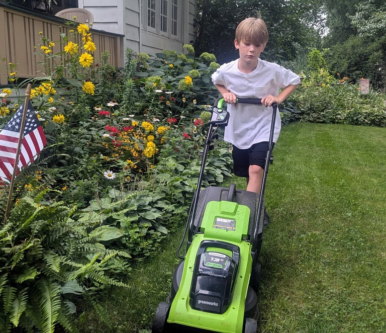 mini mowers in Washington heights neighborhood