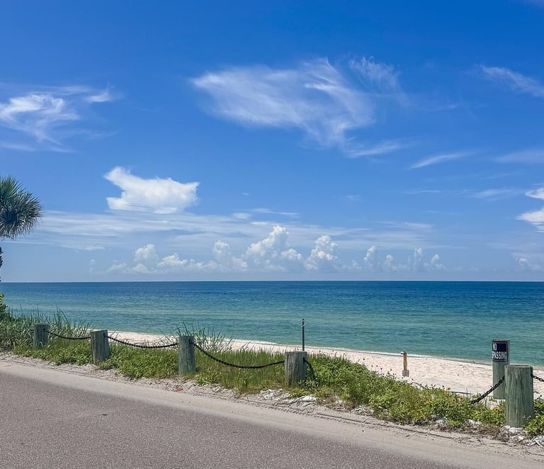 Florida's beaches - Margarita Rosa Budina