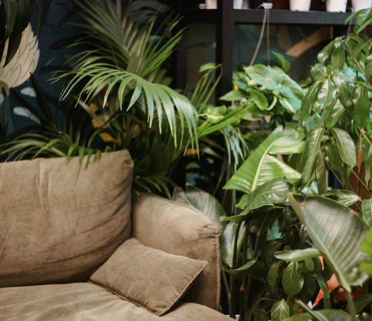 Couch surrounded by lush plants symbolizing comfort and privacy, online psychological counseling