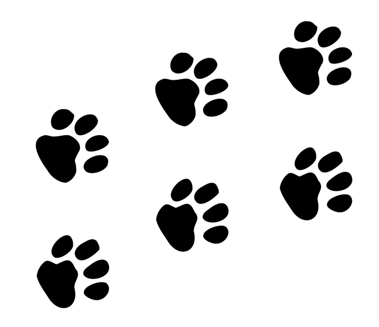 multiple cat paws