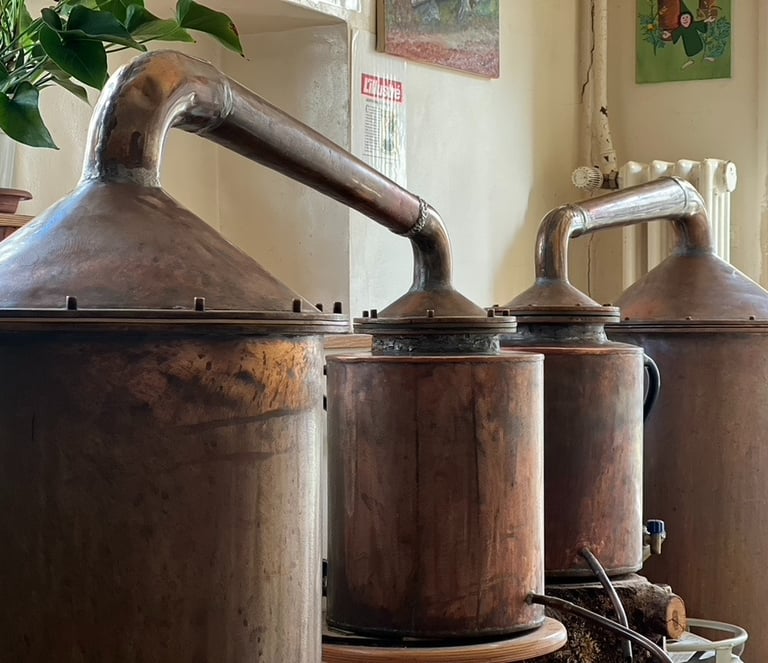 Alambics situés dans la boutique de l'absintherie Guilloud dans le val de travers