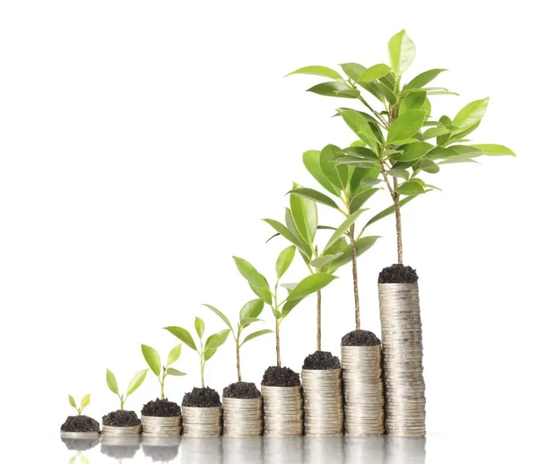 Trees growing on money piling up and increasing growth