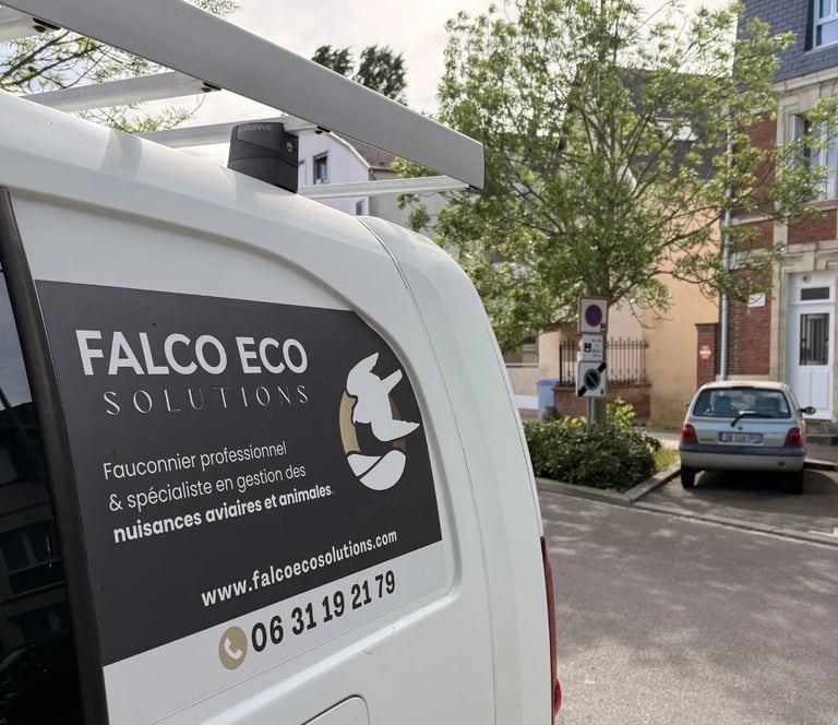 Véhicule Falco Eco Solutions mobilisé pour une intervention sur une colonie de goélands