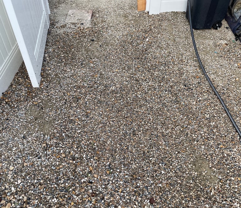 P.A.W.S. Pet Waste Removal and Deodorizer