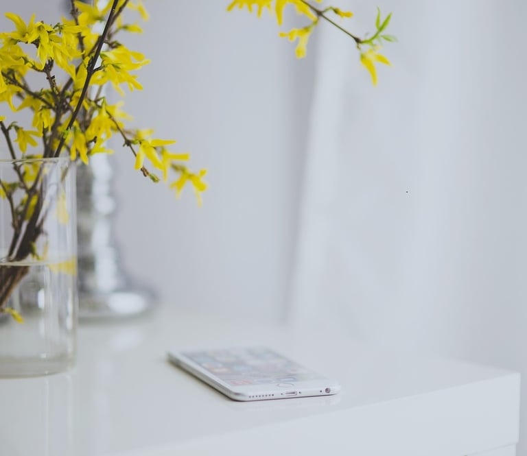 contact par téléphone ou formulaire