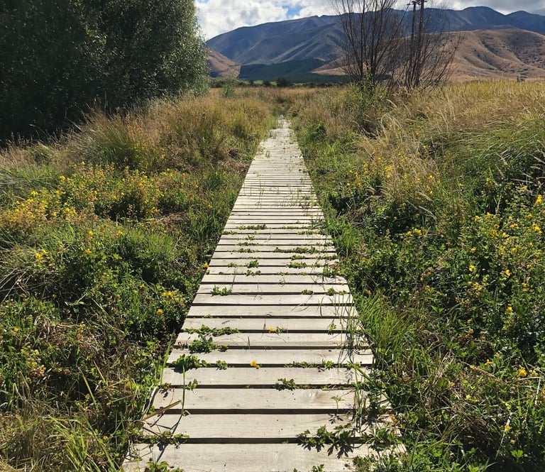 pathway in nature start where you are one step at a time