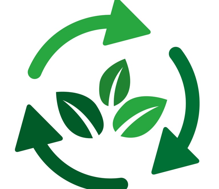 cycle vertueux écologique de la démarche RSE