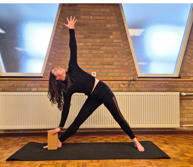 Flow yoga Mierlo
