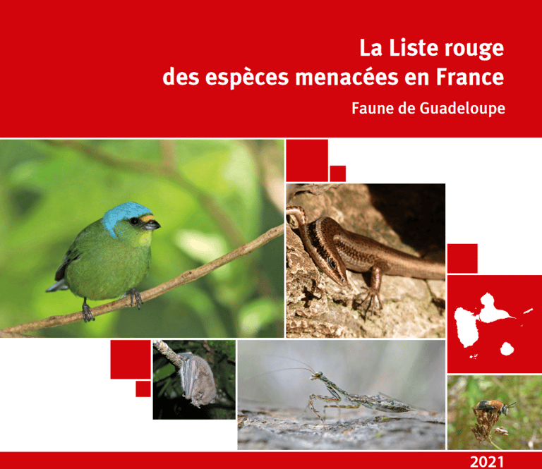 Listes rouges des espèces menacées de l'UICN