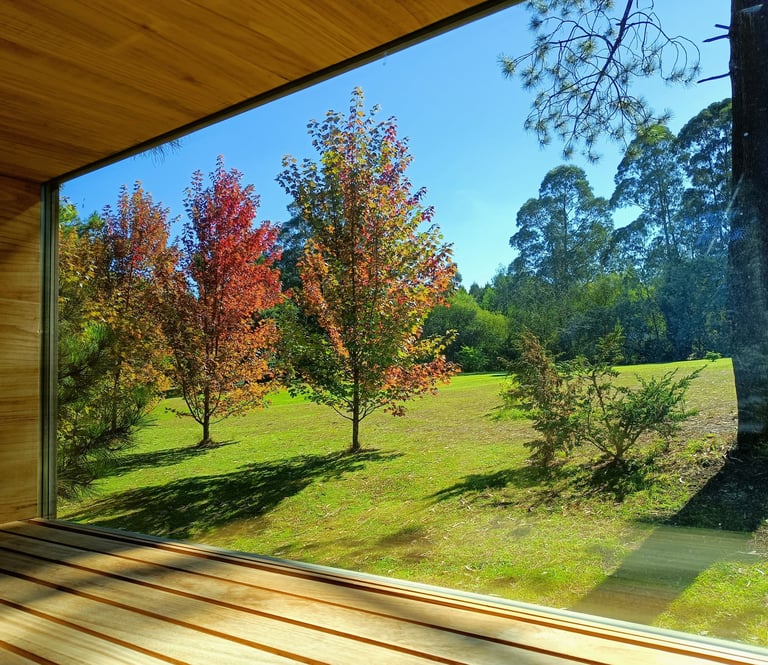Sauna en el bosque