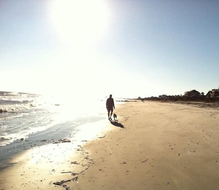 beach walk with beloved pet