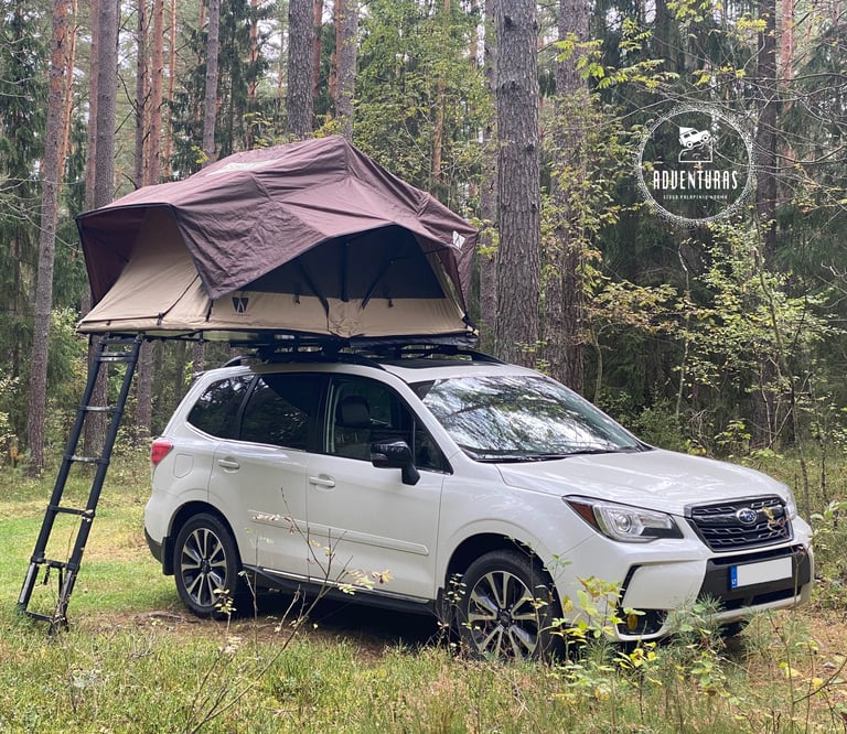 Little Bamboo palapine Subaru