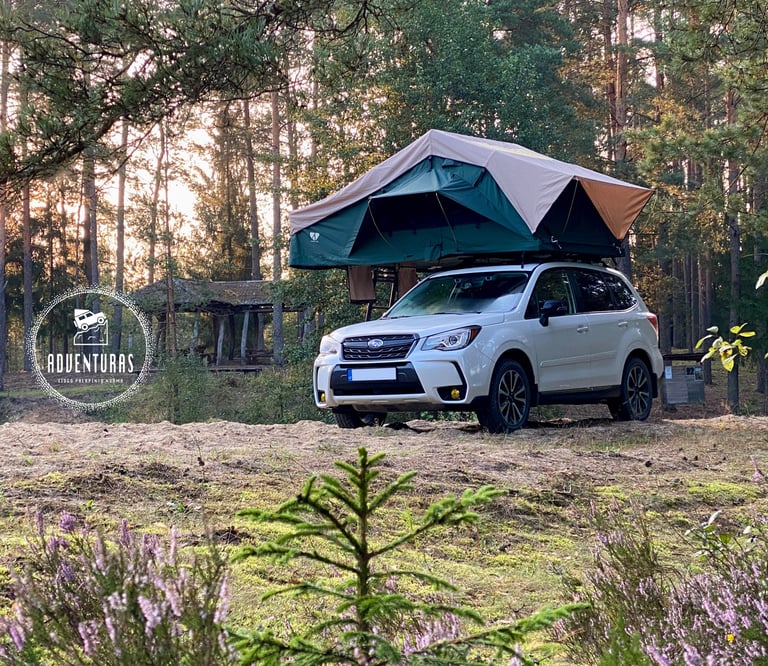 Big Willow palapine Subaru