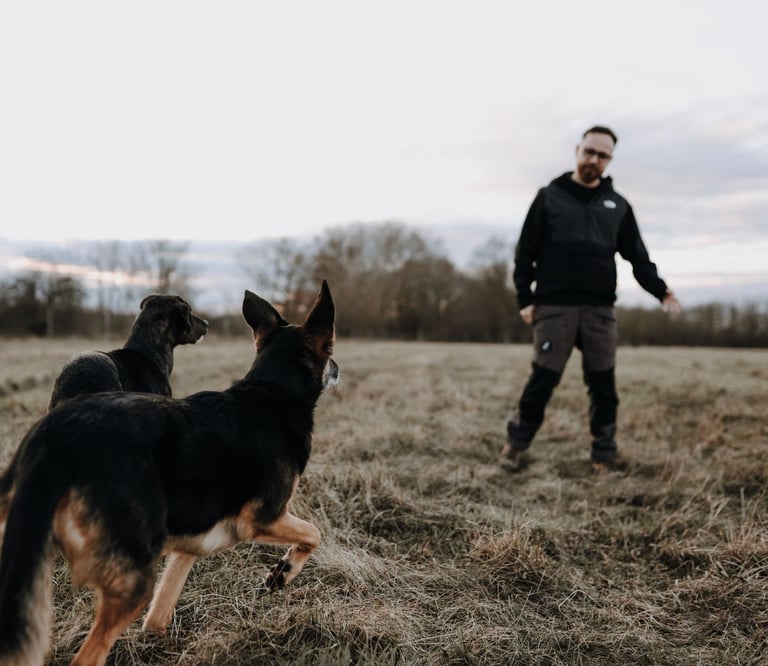 Basti Matern beim Hundetraining in Merseburg