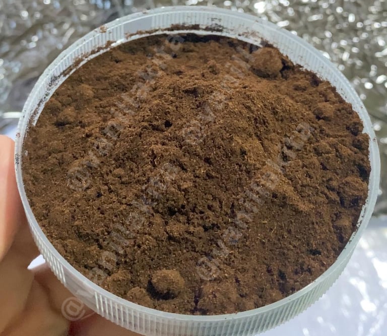 Vanilla powder on bowl