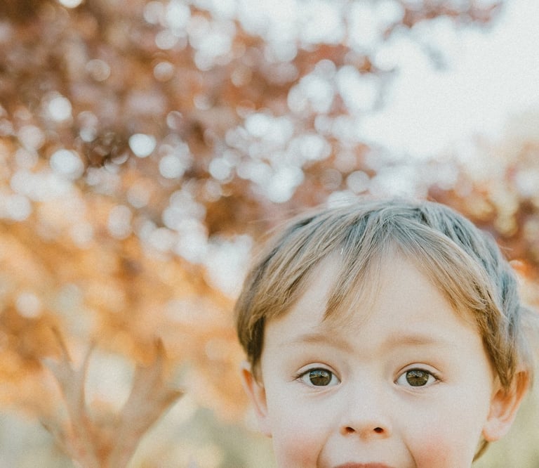 young boy showing autumn leaves in Adelaide Hills in a candid photo session