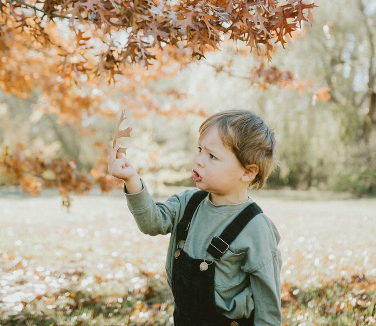 toddler playing with autumn leaves in Littlehampton in a candid photo session