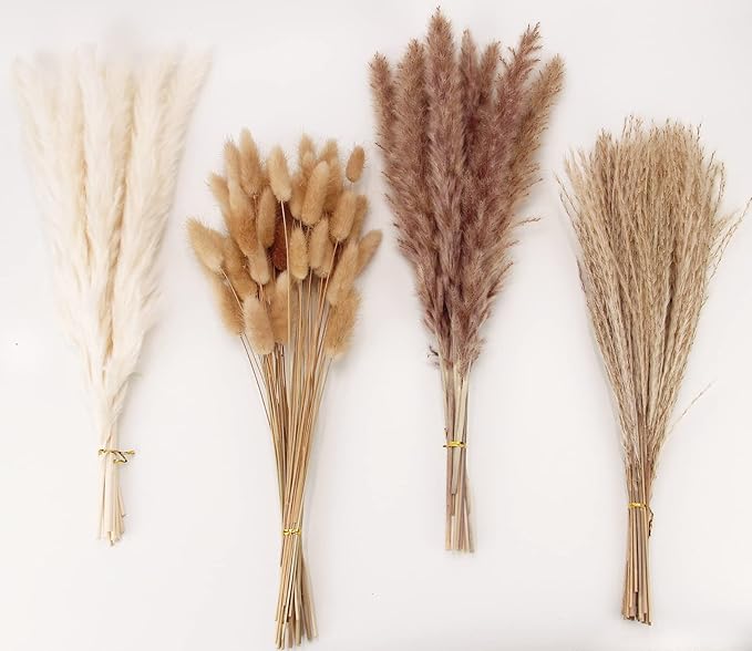 Four bundles of dried pampas grass and natural stems in assorted neutral tones