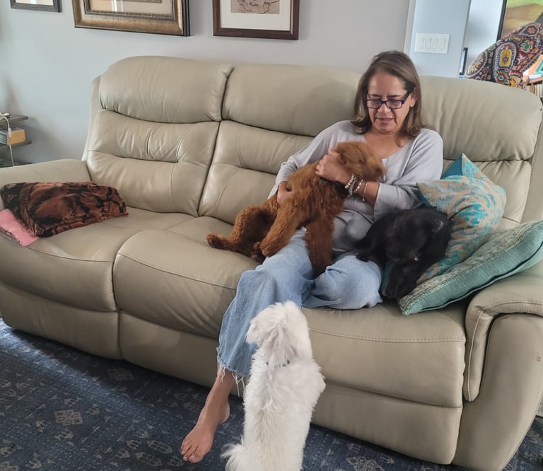 Woman on couch, with 3 dogs which are overnight boarding customers