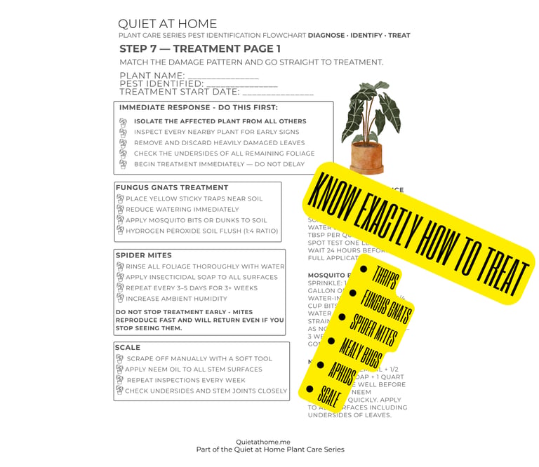 Houseplant pest identification chart printable from Quiet at Home that diagnoses fungus gnats