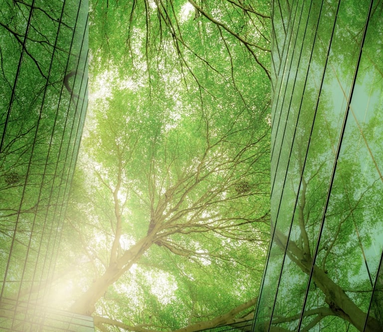 a tree in the middle of a forest surrounded by glass windows