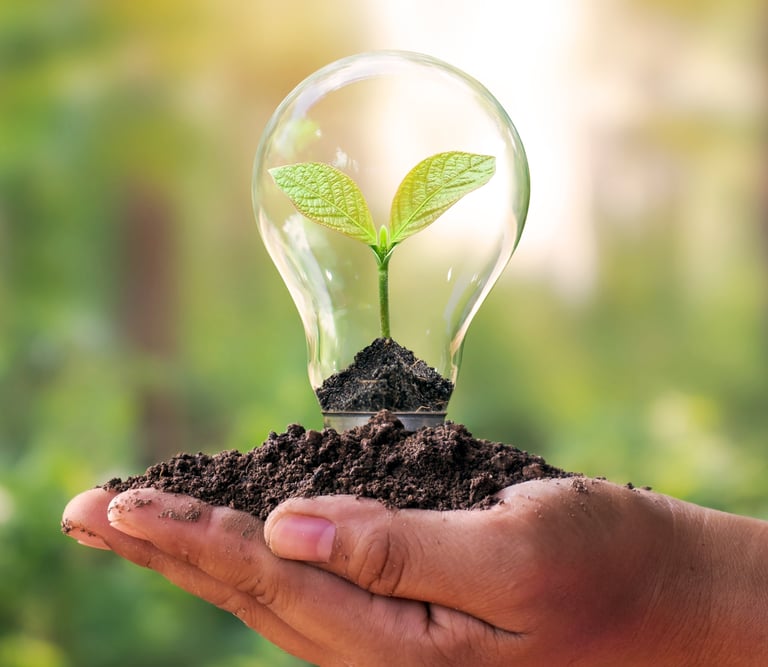 a person holding a light bulb sitting in soil in their hands