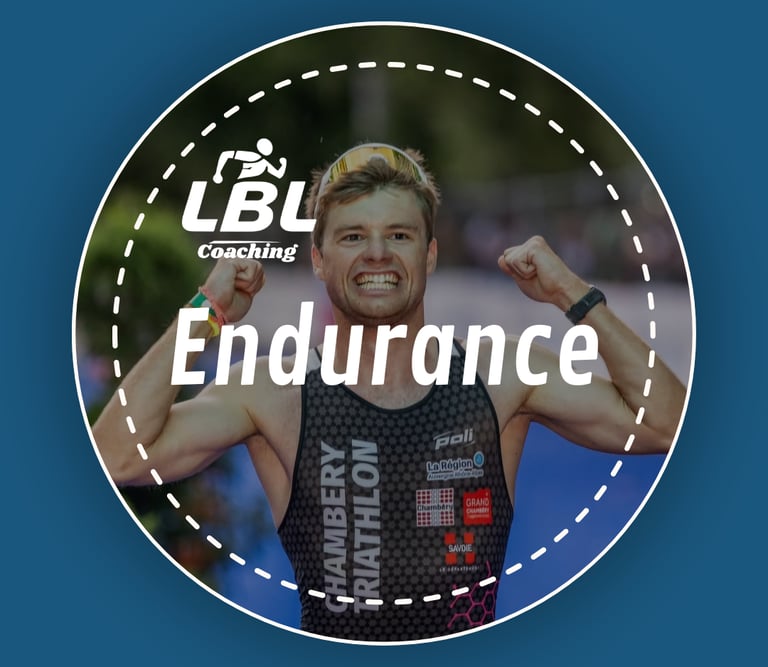 Planification Sport Endurance - LBL COACHING