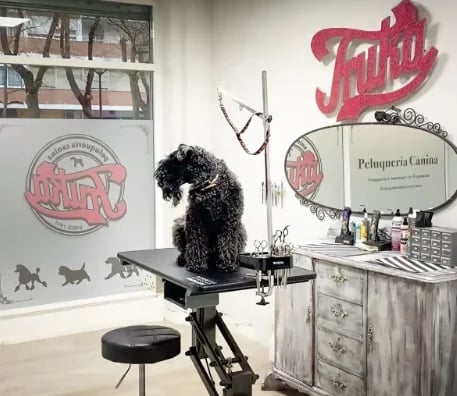 peluquería canina en Alcorcon