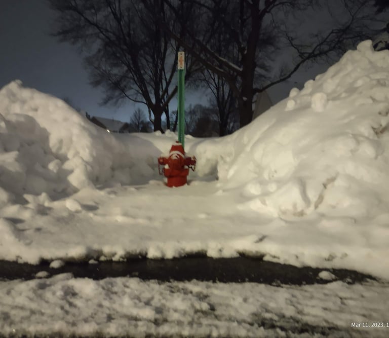 a neighborhood fire hydrant dug out of a deep Minnesota snow