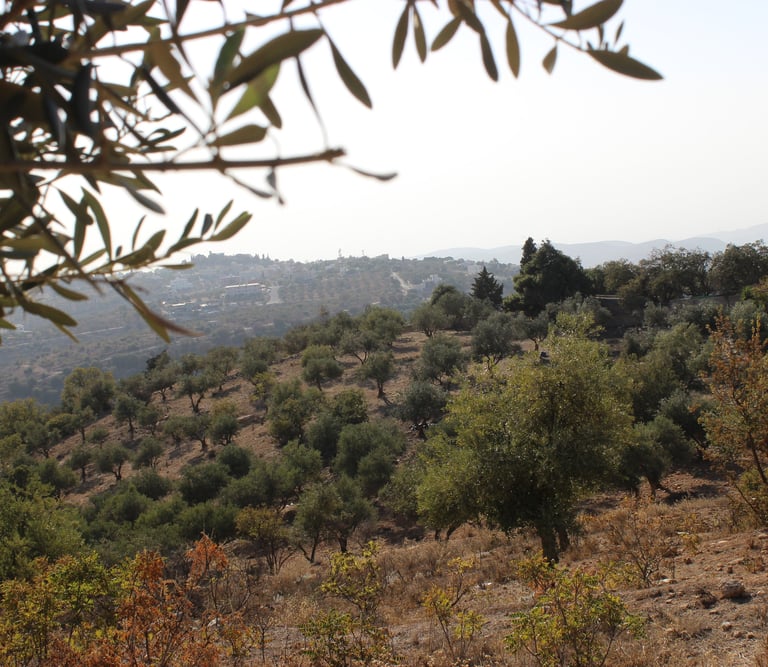 حكاية عائلة مخزون 