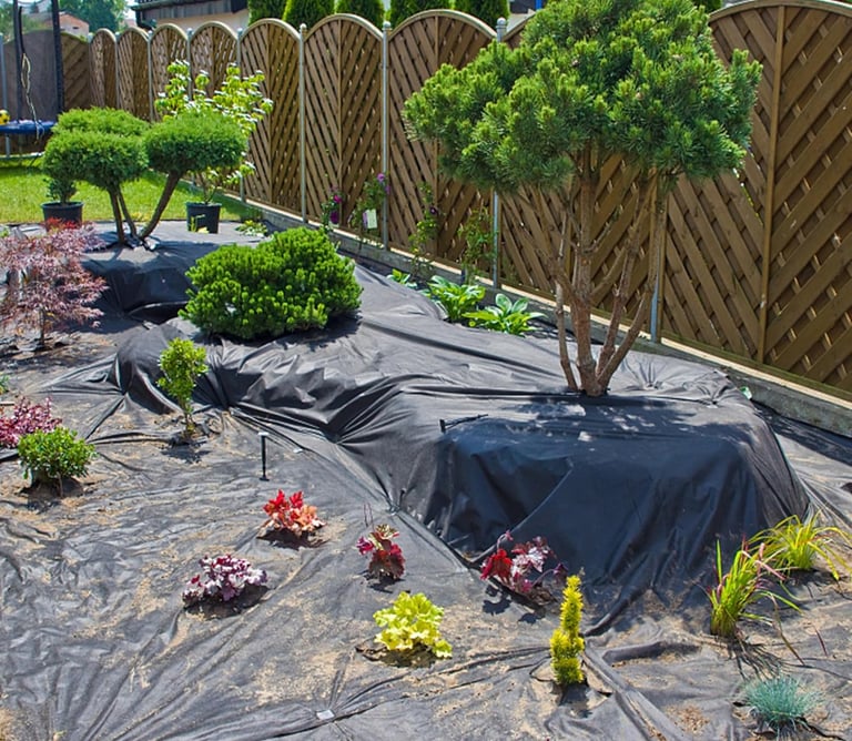 Black weed barrier fabric installed in a garden landscape with ornamental trees and shrubs.