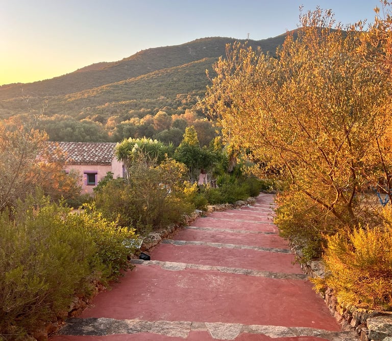 Agritourisme en Sardaigne, à quelques kilomètres d’Olbia, Porto Rotondo, Arzachena e San Pantaleo.