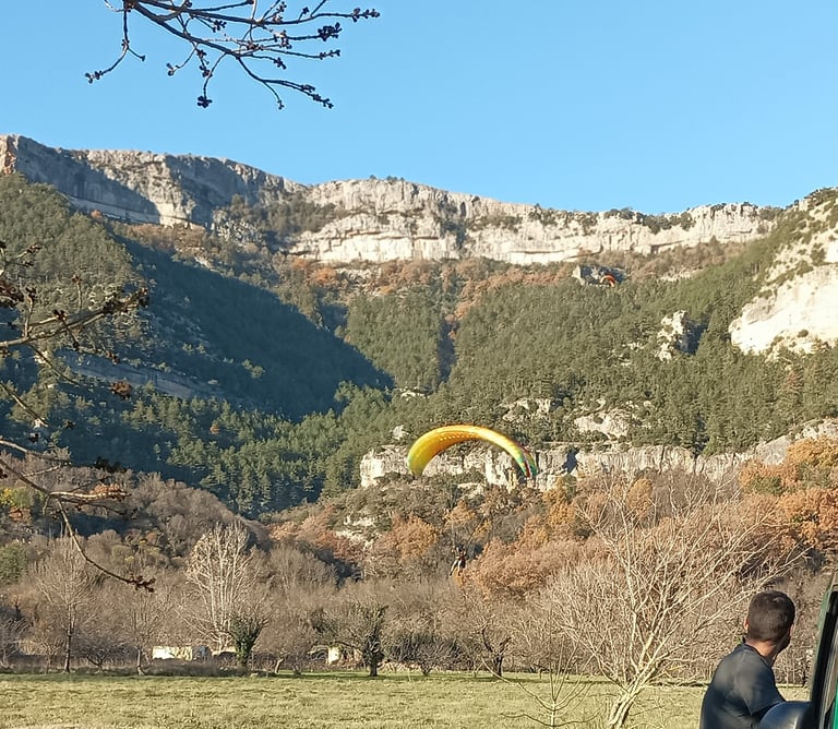 Coming in to land