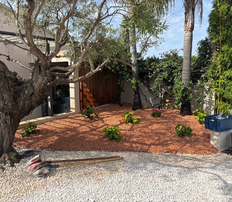 a backyard garden with a tree in the foreground
