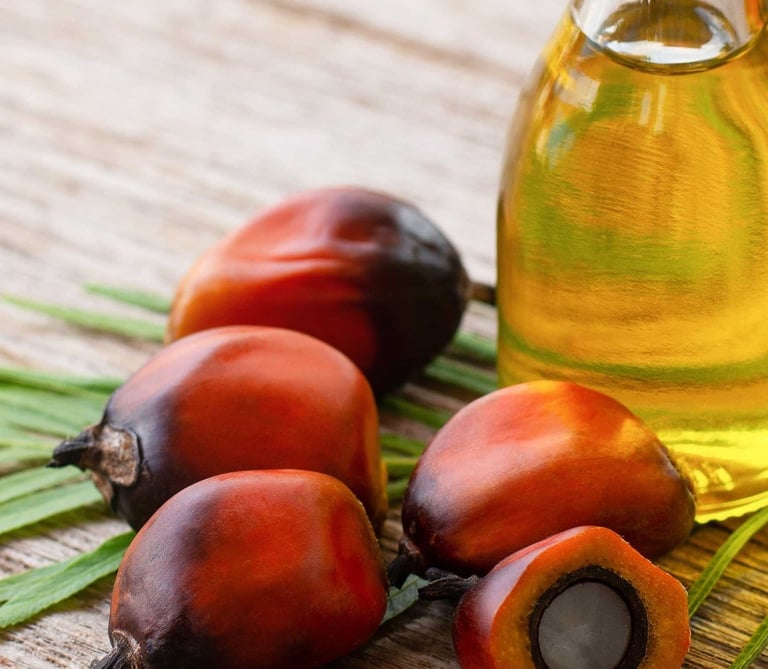 Fotografia de un conjunto frutos de palma secos y una jarra de aceite