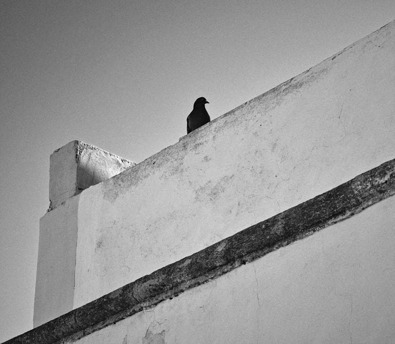 © juergen mack photography - moments