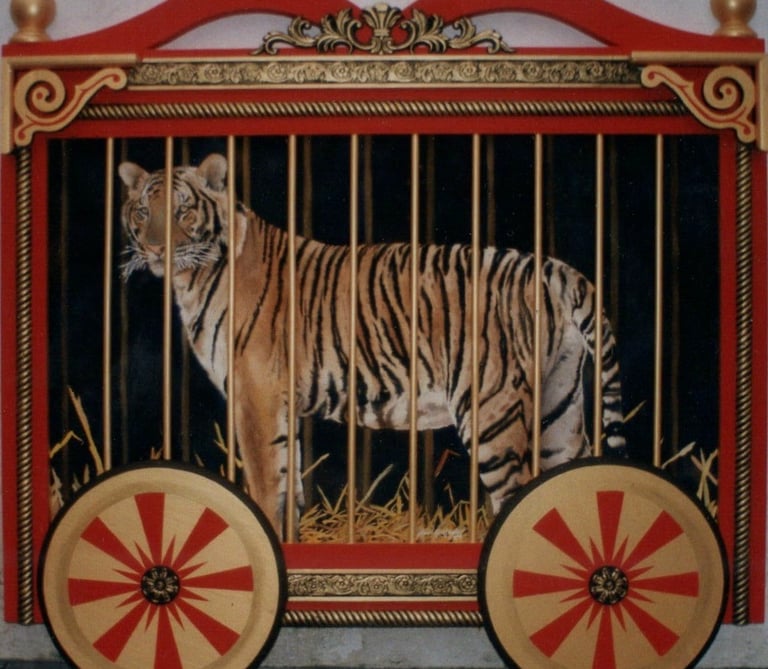 a circus tiger