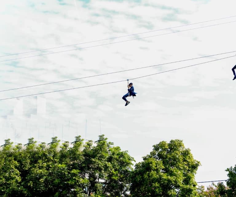 SAM Zip Line 
