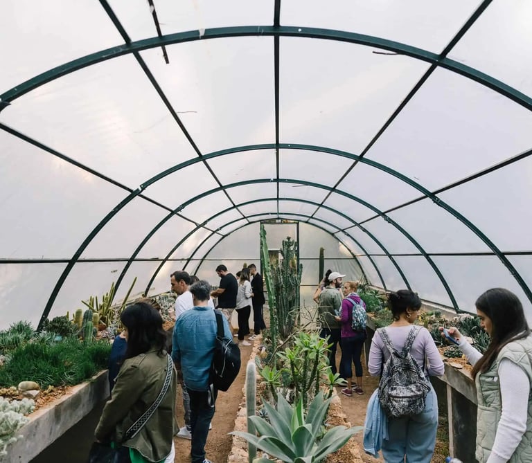 Installation view from the exhibition Sheltered Gardens (PCAI)